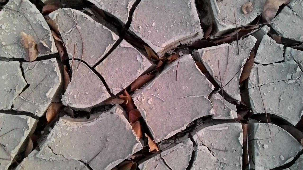 Dried mud cracked into interlocking plates, with dead leaves and twigs caught in the fissures between them.